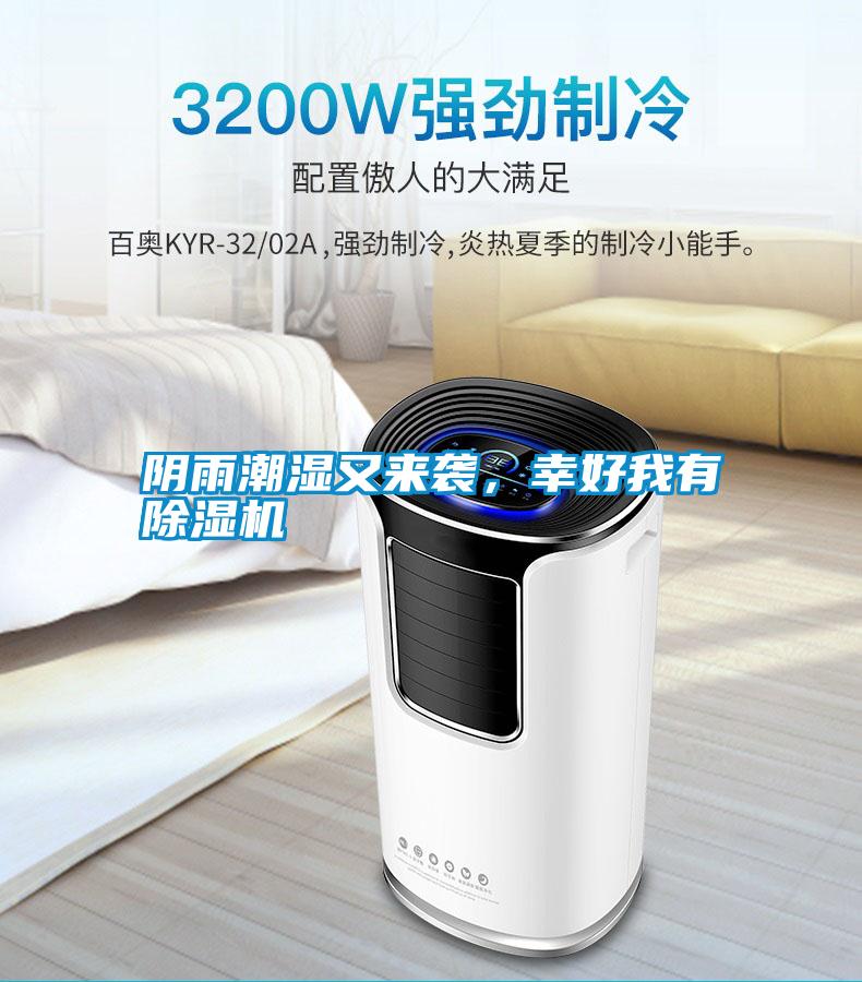陰雨潮濕又來襲，幸好我有除濕機