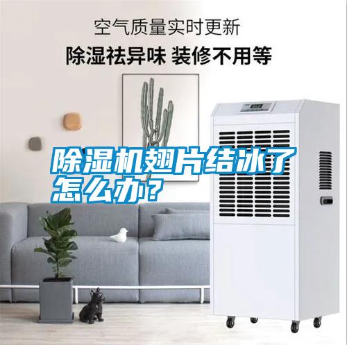 除濕機(jī)翅片結(jié)冰了怎么辦？