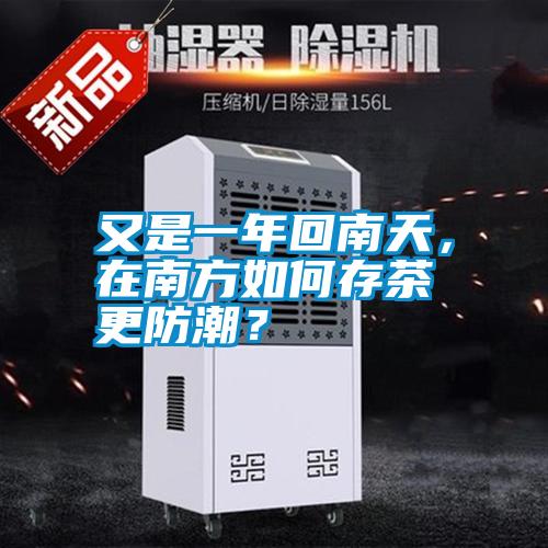 又是一年回南天，在南方如何存茶更防潮？