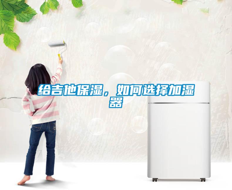 給吉他保濕，如何選擇加濕器