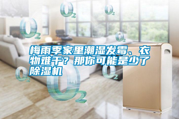 梅雨季家里潮濕發(fā)霉、衣物難干？那你可能是少了除濕機