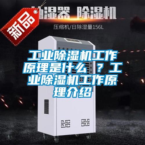 工業(yè)除濕機工作原理是什么 ？工業(yè)除濕機工作原理介紹