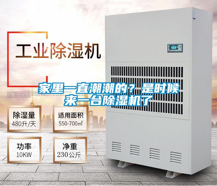 家里一直潮潮的？是時(shí)候來(lái)一臺(tái)除濕機(jī)了