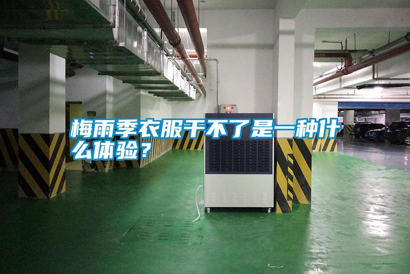 梅雨季衣服干不了是一種什么體驗(yàn)？