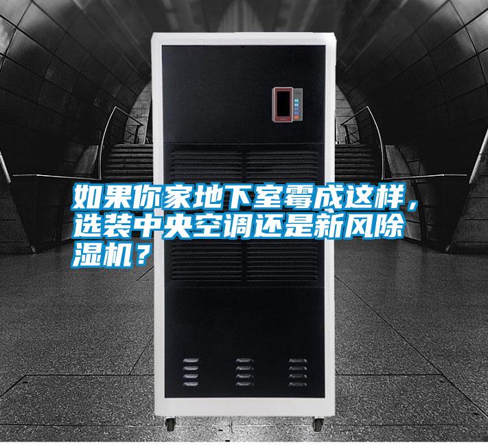如果你家地下室霉成這樣，選裝中央空調(diào)還是新風(fēng)除濕機(jī)？