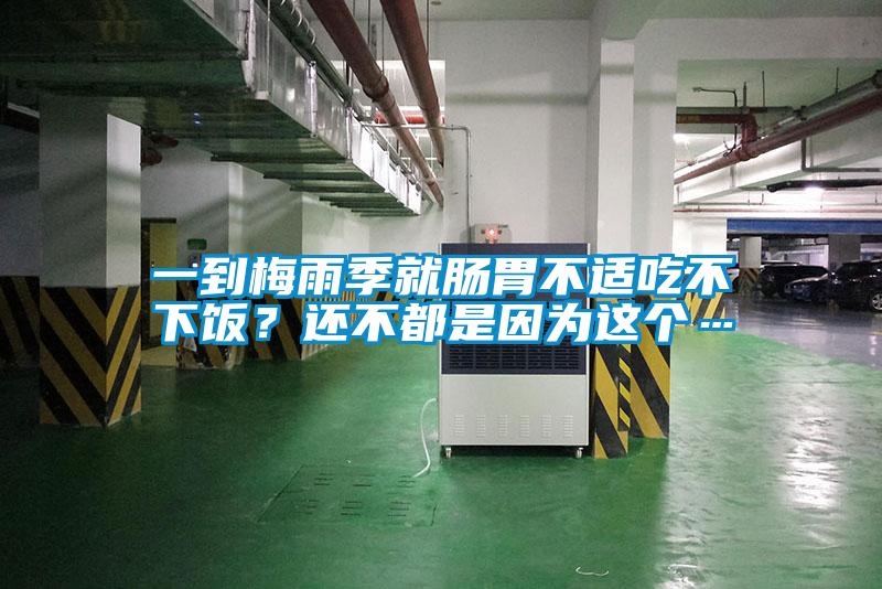 一到梅雨季就腸胃不適吃不下飯？還不都是因?yàn)檫@個(gè)…