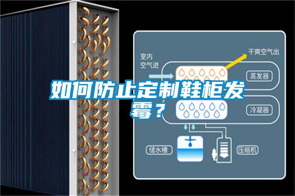 如何防止定制鞋柜發(fā)霉？