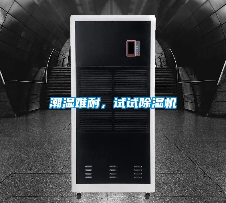 潮濕難耐，試試除濕機(jī)