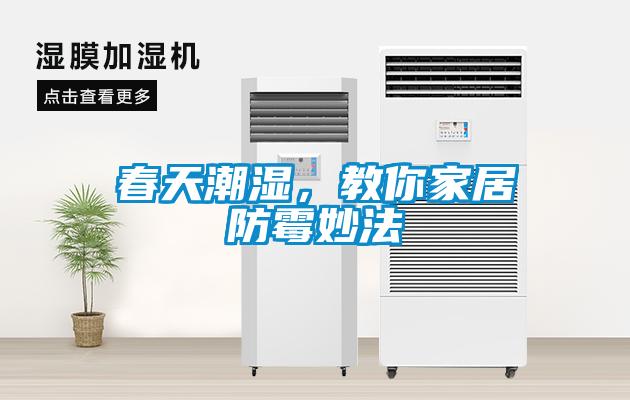 春天潮濕，教你家居防霉妙法