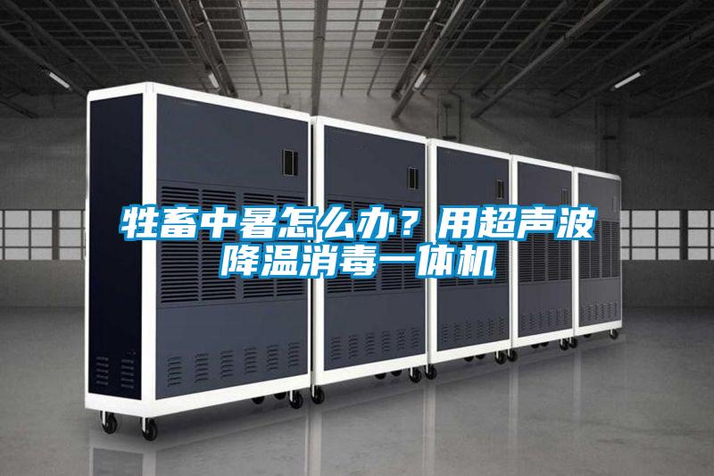 牲畜中暑怎么辦？用超聲波降溫消毒一體機(jī)