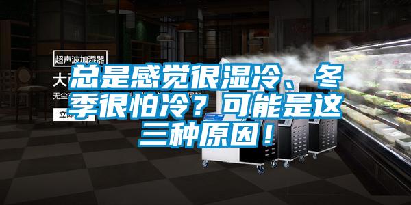 總是感覺很濕冷、冬季很怕冷？可能是這三種原因！