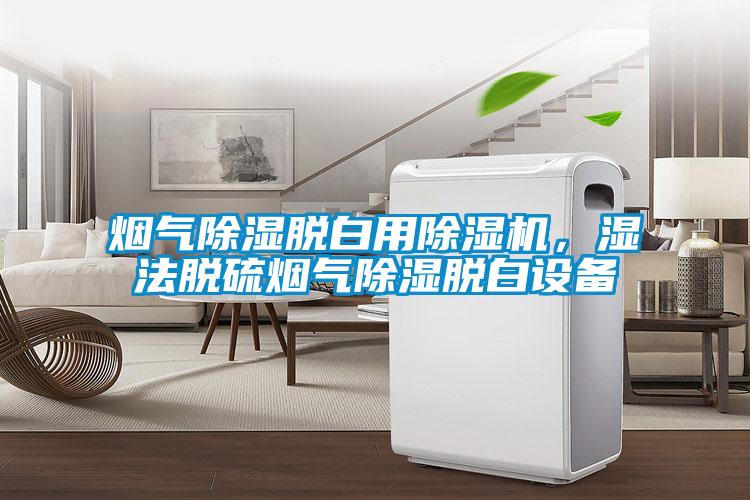 煙氣除濕脫白用除濕機(jī)，濕法脫硫煙氣除濕脫白設(shè)備