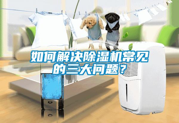如何解決除濕機常見的三大問題？