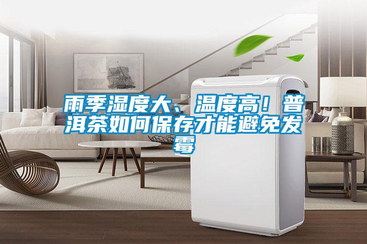 雨季濕度大、溫度高！普洱茶如何保存才能避免發(fā)霉