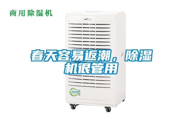 春天容易返潮，除濕機很管用