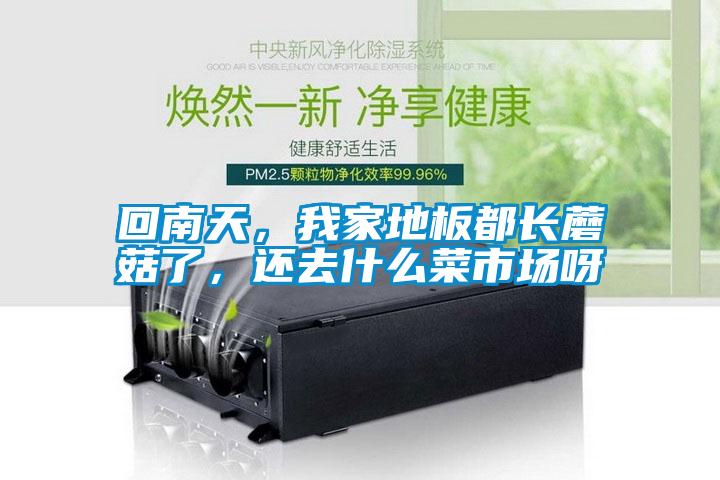 回南天，我家地板都長(zhǎng)蘑菇了，還去什么菜市場(chǎng)呀