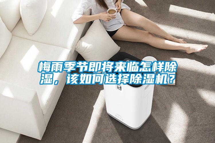 梅雨季節(jié)即將來臨怎樣除濕，該如何選擇除濕機？