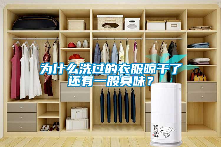為什么洗過(guò)的衣服晾干了還有一股臭味？