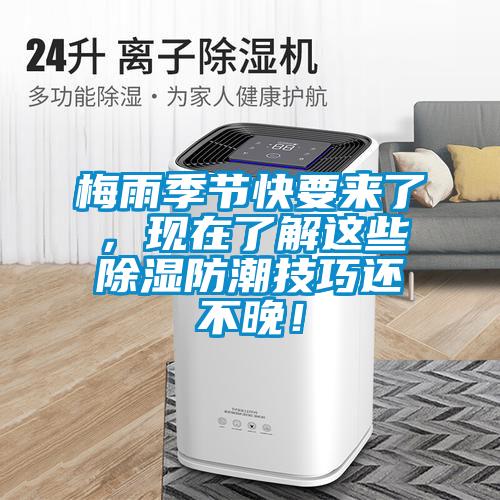梅雨季節(jié)快要來了，現(xiàn)在了解這些除濕防潮技巧還不晚！