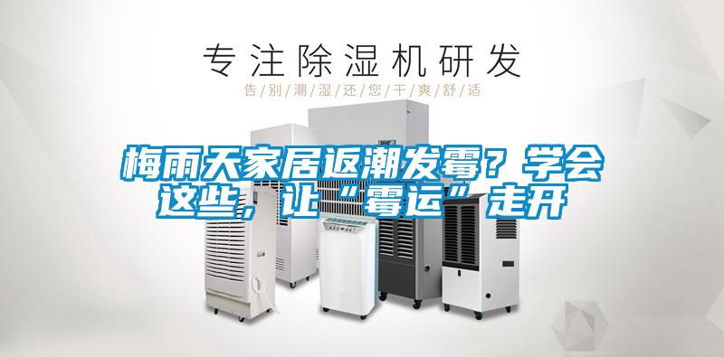 梅雨天家居返潮發(fā)霉？學(xué)會(huì)這些，讓“霉運(yùn)”走開