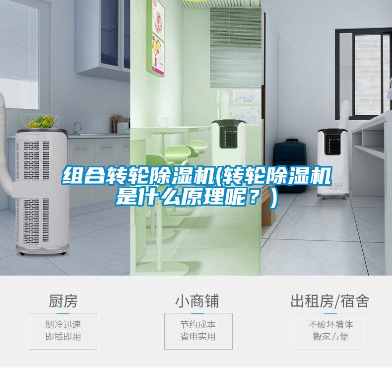 組合轉(zhuǎn)輪除濕機(jī)(轉(zhuǎn)輪除濕機(jī)是什么原理呢？)