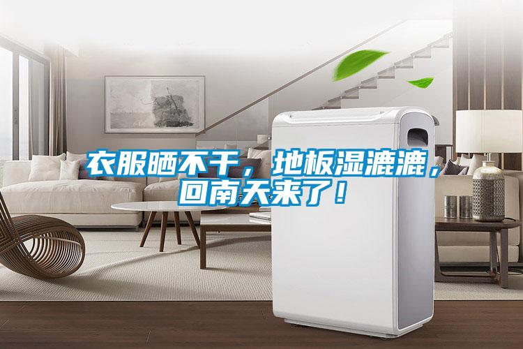 衣服曬不干，地板濕漉漉，回南天來了！