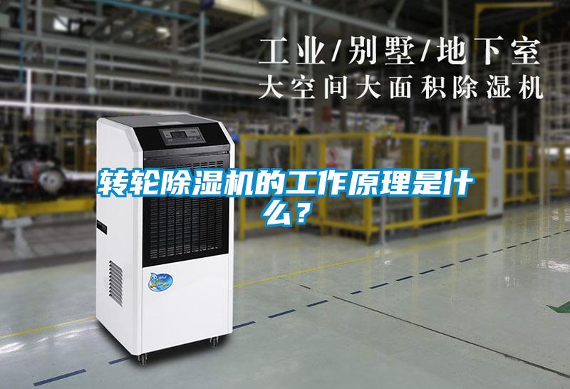 轉輪除濕機的工作原理是什么？