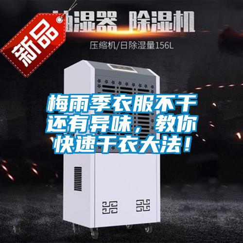梅雨季衣服不干還有異味，教你快速干衣大法！