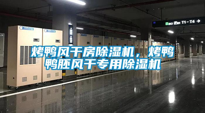 烤鴨風(fēng)干房除濕機，烤鴨鴨胚風(fēng)干專用除濕機