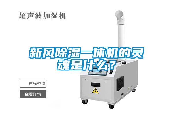 新風(fēng)除濕一體機(jī)的靈魂是什么？