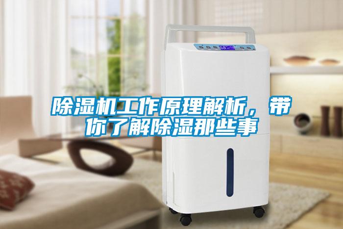 除濕機工作原理解析，帶你了解除濕那些事