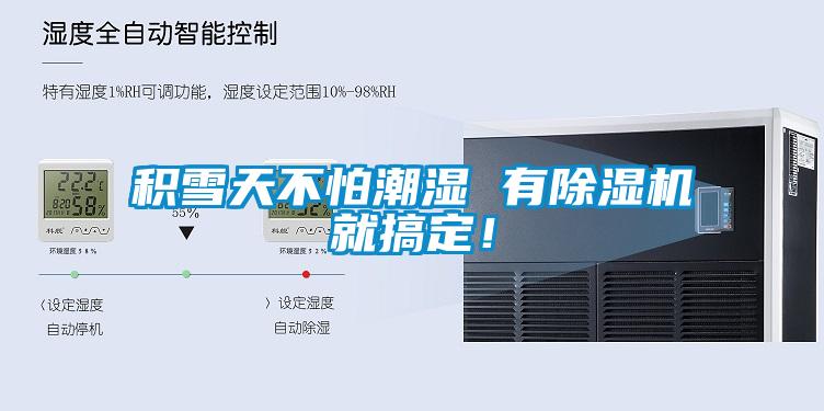 積雪天不怕潮濕 有除濕機就搞定！