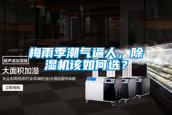 梅雨季潮氣逼人，除濕機(jī)該如何選？