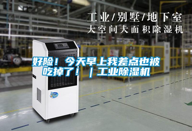 好險(xiǎn)！今天早上我差點(diǎn)也被吃掉了！｜工業(yè)除濕機(jī)
