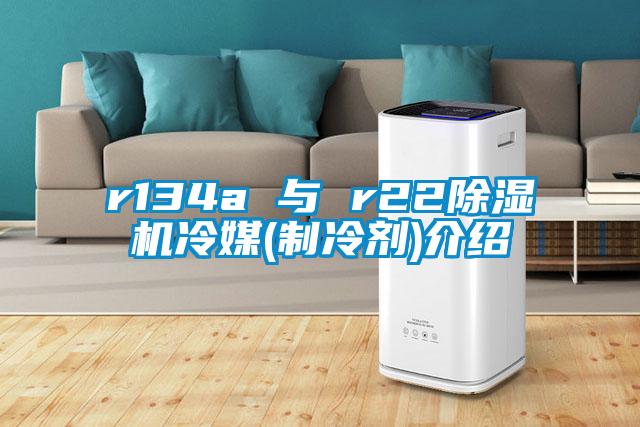 r134a 與 r22除濕機(jī)冷媒(制冷劑)介紹
