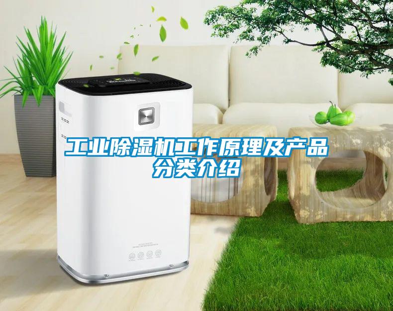工業(yè)除濕機(jī)工作原理及產(chǎn)品分類(lèi)介紹