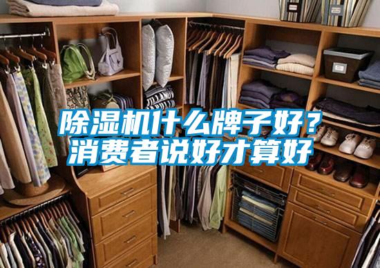 除濕機什么牌子好？消費者說好才算好
