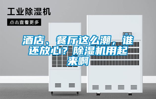 酒店、餐廳這么潮，誰還放心？除濕機(jī)用起來啊