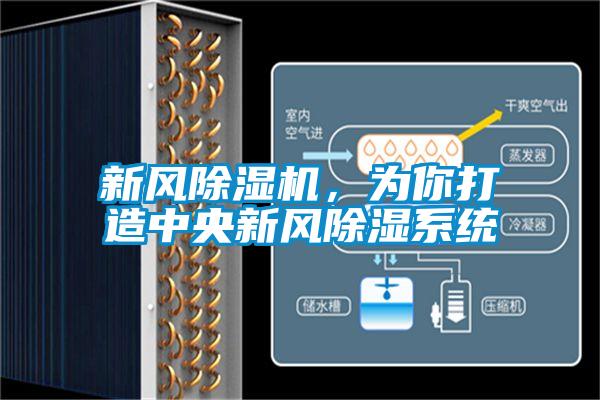 新風除濕機，為你打造中央新風除濕系統(tǒng)