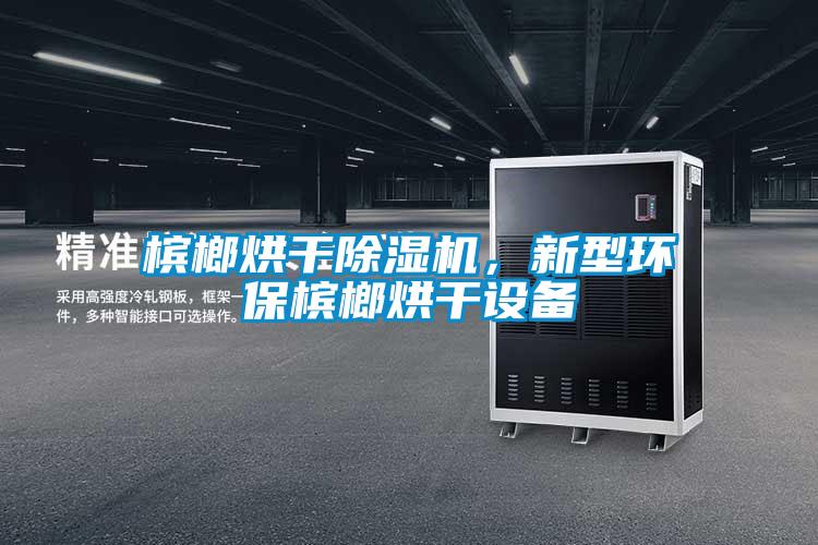檳榔烘干除濕機(jī)，新型環(huán)保檳榔烘干設(shè)備