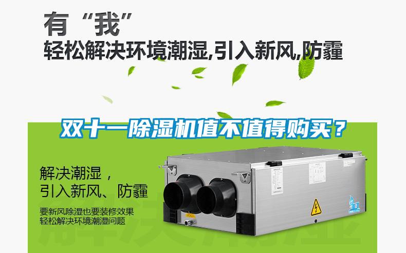 雙十一除濕機(jī)值不值得購買？