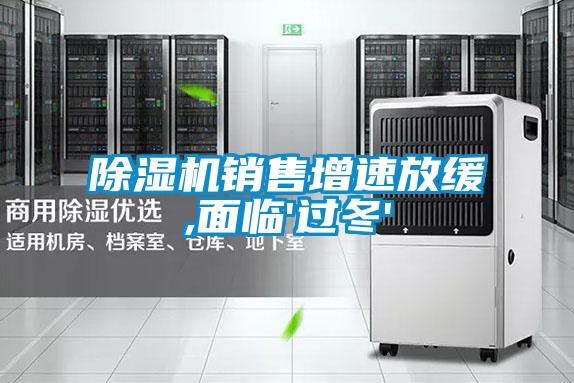 除濕機(jī)銷售增速放緩,面臨'過(guò)冬'