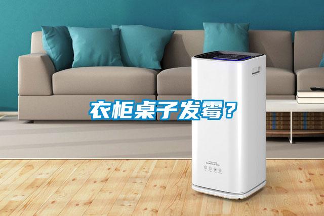 衣柜桌子發(fā)霉？