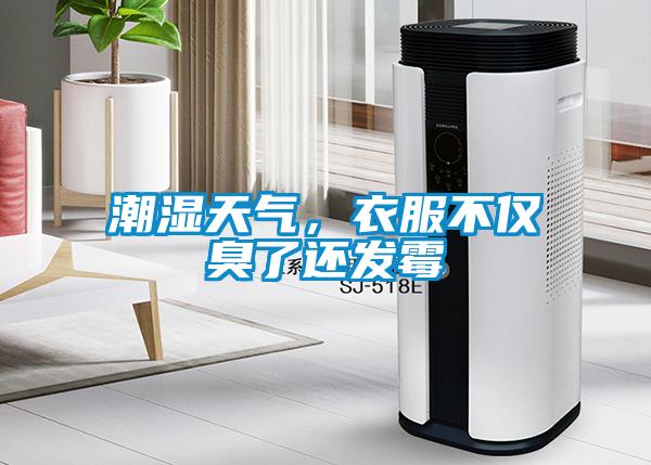 潮濕天氣，衣服不僅臭了還發(fā)霉