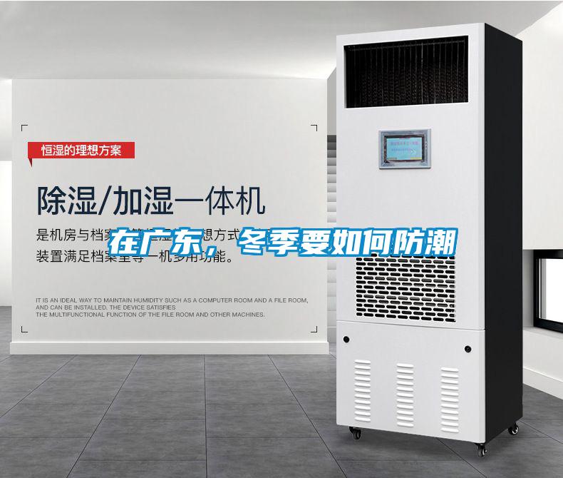 在廣東，冬季要如何防潮