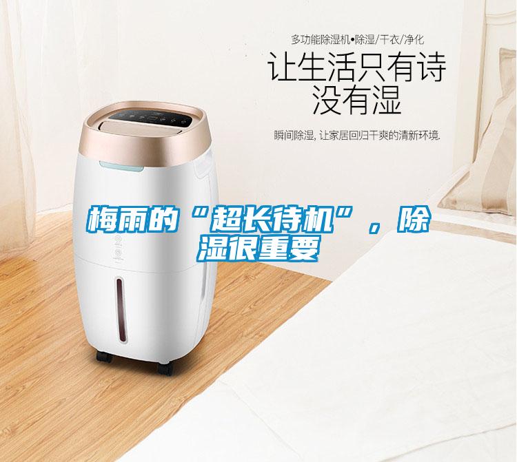 梅雨的“超長(zhǎng)待機(jī)”，除濕很重要