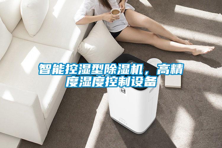 智能控濕型除濕機(jī)，高精度濕度控制設(shè)備