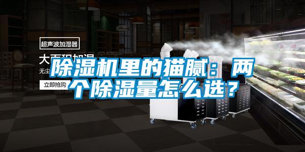 除濕機(jī)里的貓膩：兩個除濕量怎么選？
