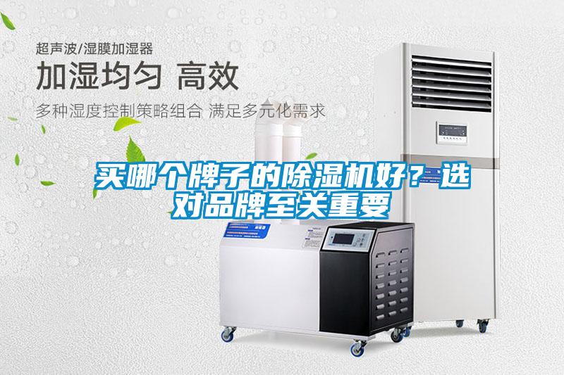 買哪個(gè)牌子的除濕機(jī)好？選對(duì)品牌至關(guān)重要