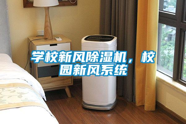 學(xué)校新風(fēng)除濕機(jī)，校園新風(fēng)系統(tǒng)